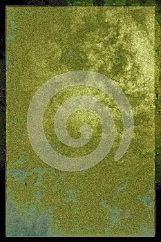 Barky, framed texture