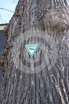 Barky tree with german sign Naturdenkmal which translates to natural monument . white triangular sign photo