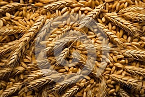 Barley Background. Generative AI
