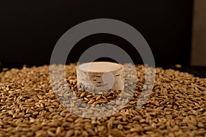 Barley beans. Grains of malt close-up. Barley on sacking background. Food and agriculture concept.