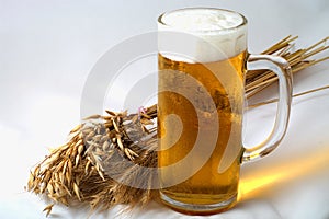 Barley and beer