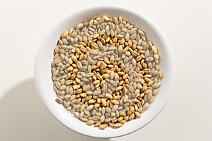 Barley cereal grain. Top view of grains in a bowl. White background. photo