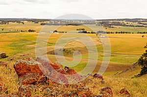 Barley fields top view with the rocks