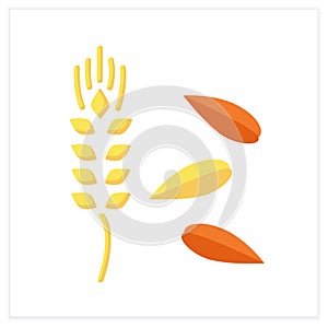 Barley flat icon