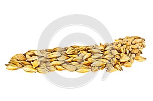 Barley grain seed isolated on white background, close up