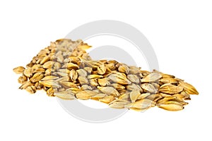 Barley grain seed isolated on white background, close up