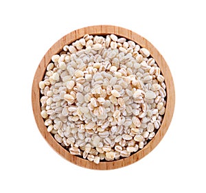 Barley grain seed