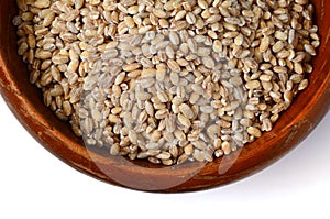 Barley grain seeds