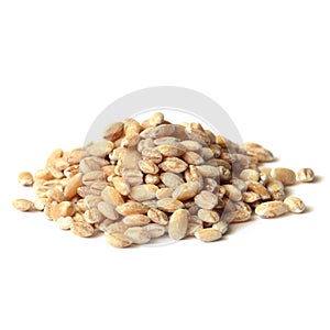 Barley grain seeds