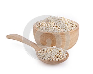 Barley grain on white background