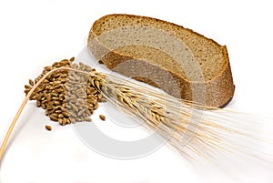 Barley grains, ear and piece of bread