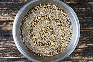 Barley grains for washing in water in a metal bowl on wooden table