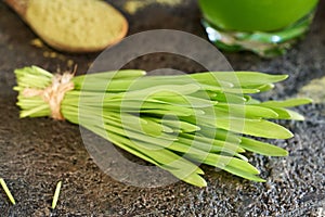 Barley grass blades, with barleygrass juice and dried powder