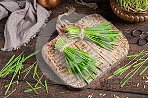 Barley grass blades on a cutting board