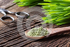 Barley grass powder on a spoon with fresh blades and scissors