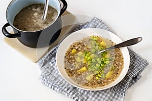 Barley groat soup in plate and in pot on white background