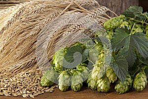 Barley and hop-cones