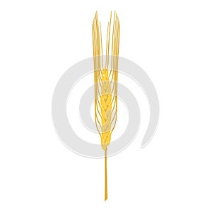 Barley icon, cartoon style