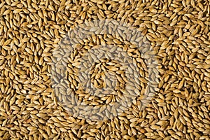 Barley malt