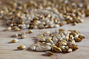 Barley malt