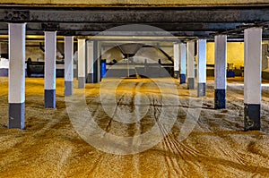 Barley malt on malting floor in the distillery, Scotland photo