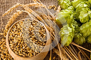Barley raw grains in wooden bowl, wheat ears and hops green cones on burlap background as ingredient for beer brewing, close-up