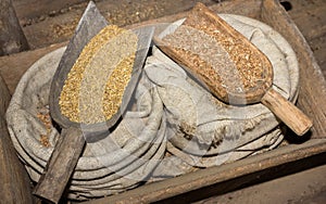 Barley and rye grain seeds in the farmer`s barn in ancient times