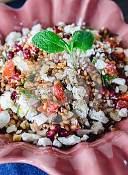 Barley salad with pomegranate, feta and mint on a pink ceramic and denin napkin photo