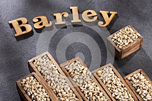 Barley word in wooden letters - Hordeum vulgare