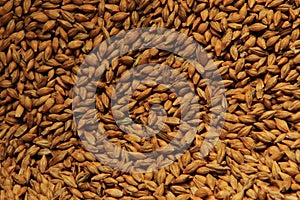 Barleycorn background