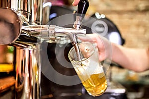 barman hands at beer tap pouring a draught lager beer serving in a restaurant or pub