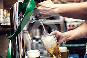 Barman pouring or brewing a draught beer at restaurant, bar