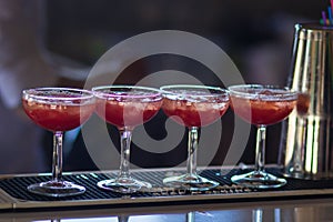 Barman pouring a fresh pink alcoholic cocktail into the elegant glass on the bar counter