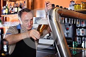 Barman is pouring unbottled beer with foam for client in the bar.