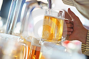 Barman pours a light foamy beer into a large mug during the Oktoberfest party.