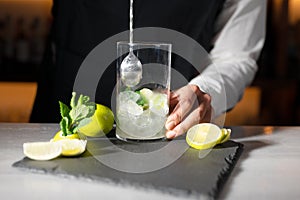 Barman preparing mojito cocktail. High quality photography