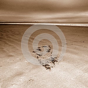 Barmston beach East Yorkshire coast England