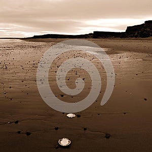 Barmston beach East Yorkshire coast England