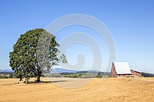 Barn