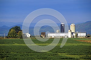 Barn with Adirondacks in background on Scenic Route 22A, VT