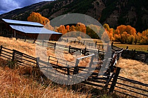 Barn And Aspens Autumn