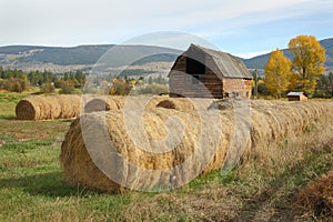 Barn and Baled Hay