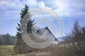 Barn behind the tree