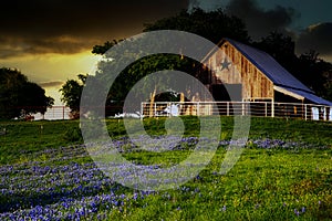Barn and Bluebonnets