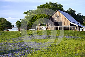 Barn and Bluebonnets