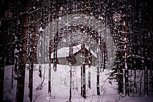 Barn, built in a winter forest in a blizzard