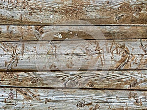 Barn cabin floor wood planks ship hull wooden plank knotted vintage retro wall decor flooring