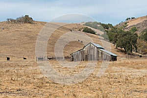 Barn photo