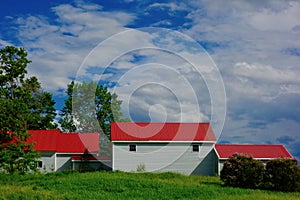 Barn complex with red roofs