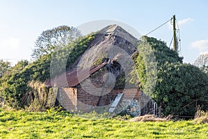 Barn conversion. Old dilapidated brick farm building covered in vegetation